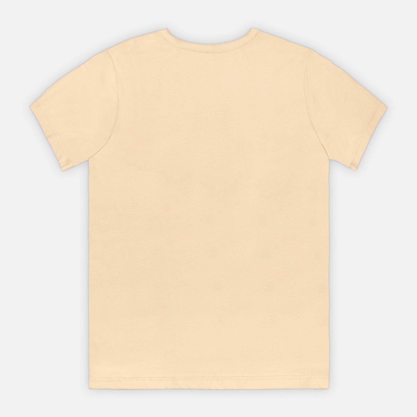 Bella Canvas Unisex Tee 3001