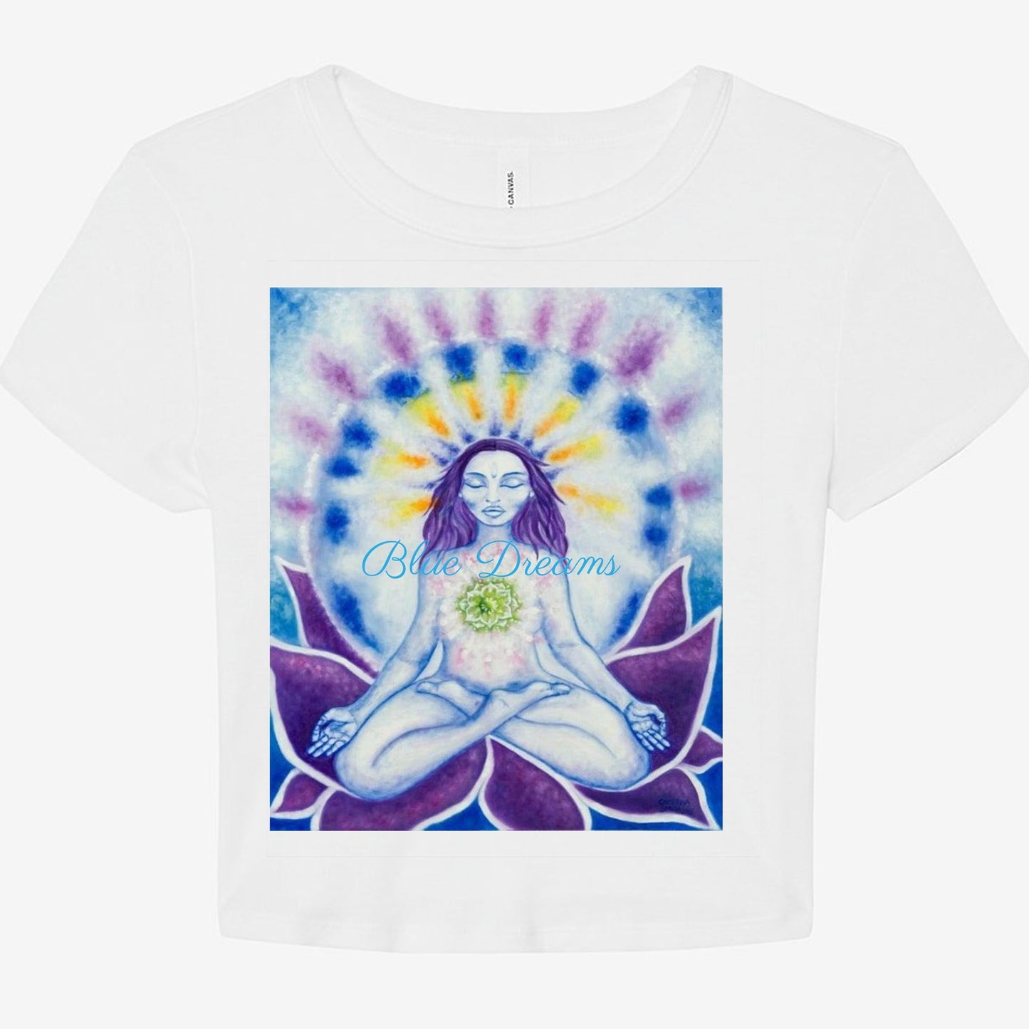 Bella Canvas Women's Micro Rib Baby Tee 1010