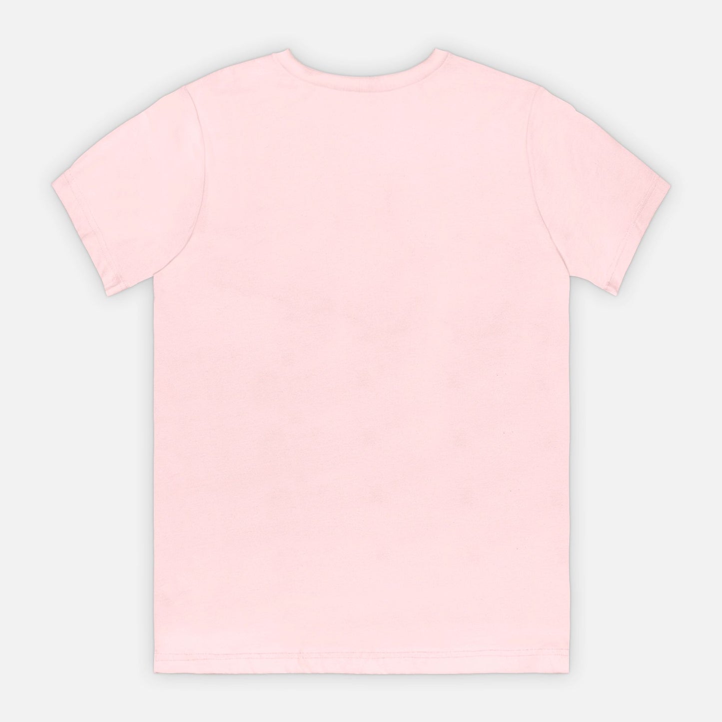 Bella Canvas Unisex Tee 3001