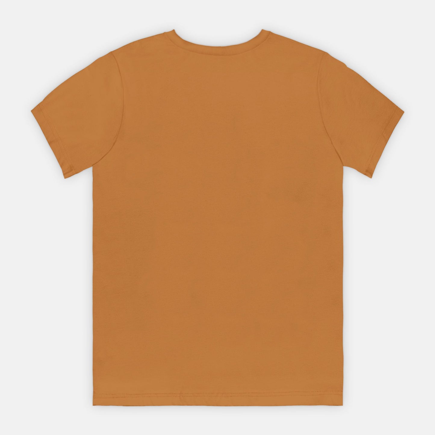 Bella Canvas Unisex Tee 3001