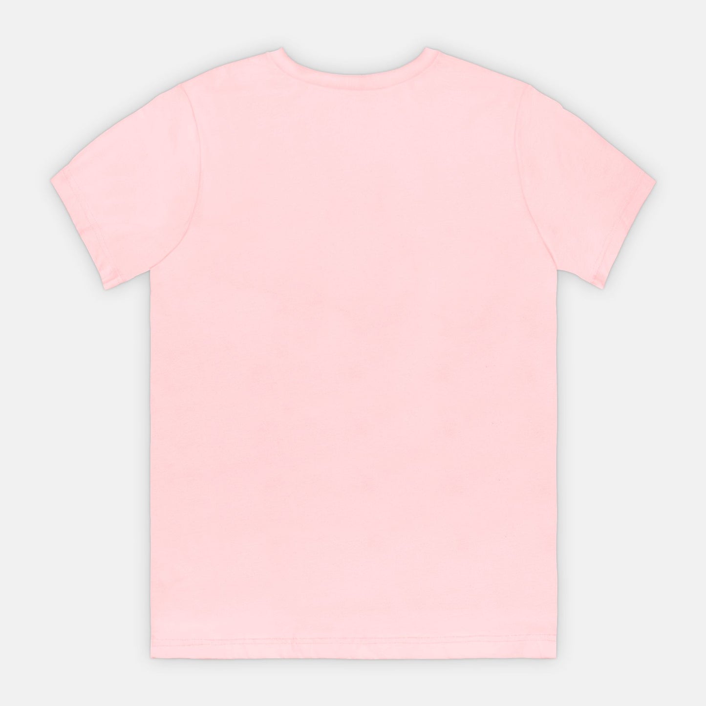 Bella Canvas Unisex Tee 3001