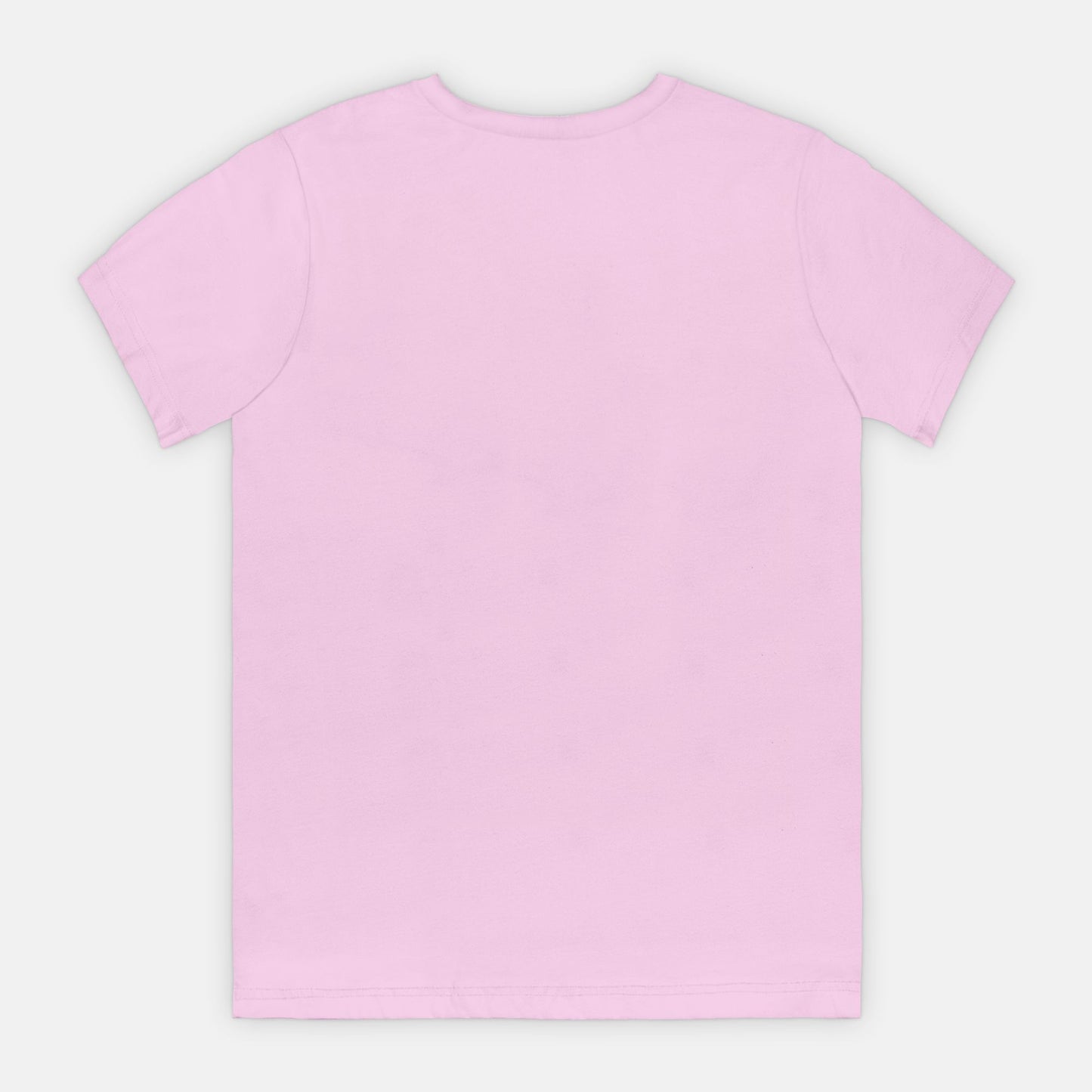 Bella Canvas Unisex Tee 3001