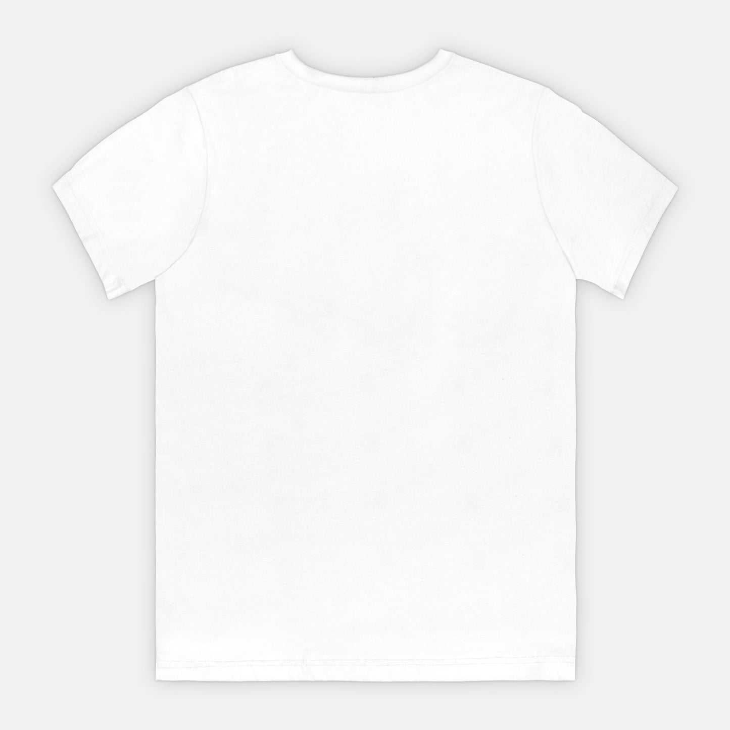 Bella Canvas Unisex Tee 3001