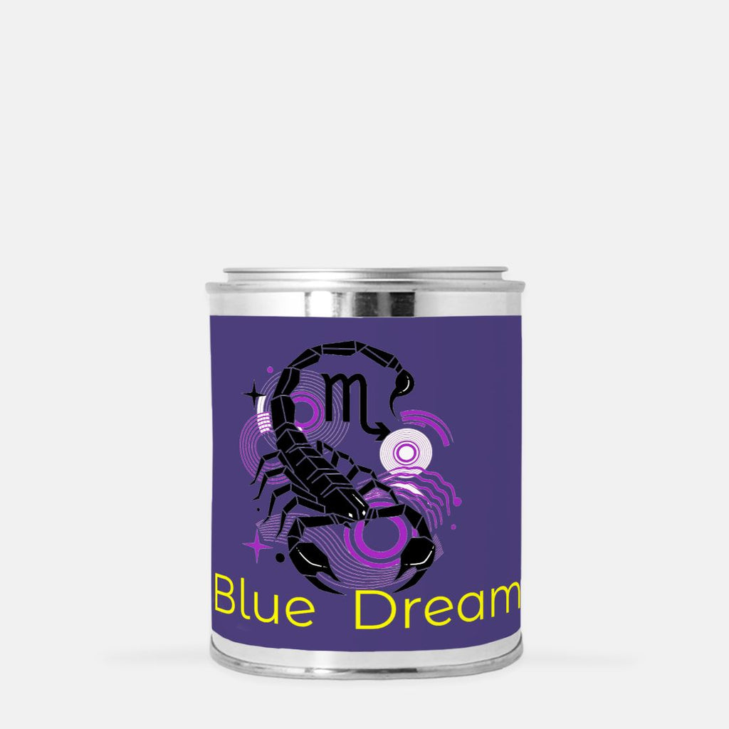 Candle Paint Can (Hand Poured 16 oz.)