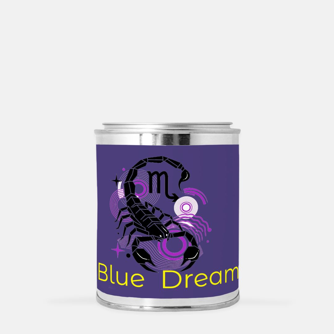 Candle Paint Can (Hand Poured 16 oz.)