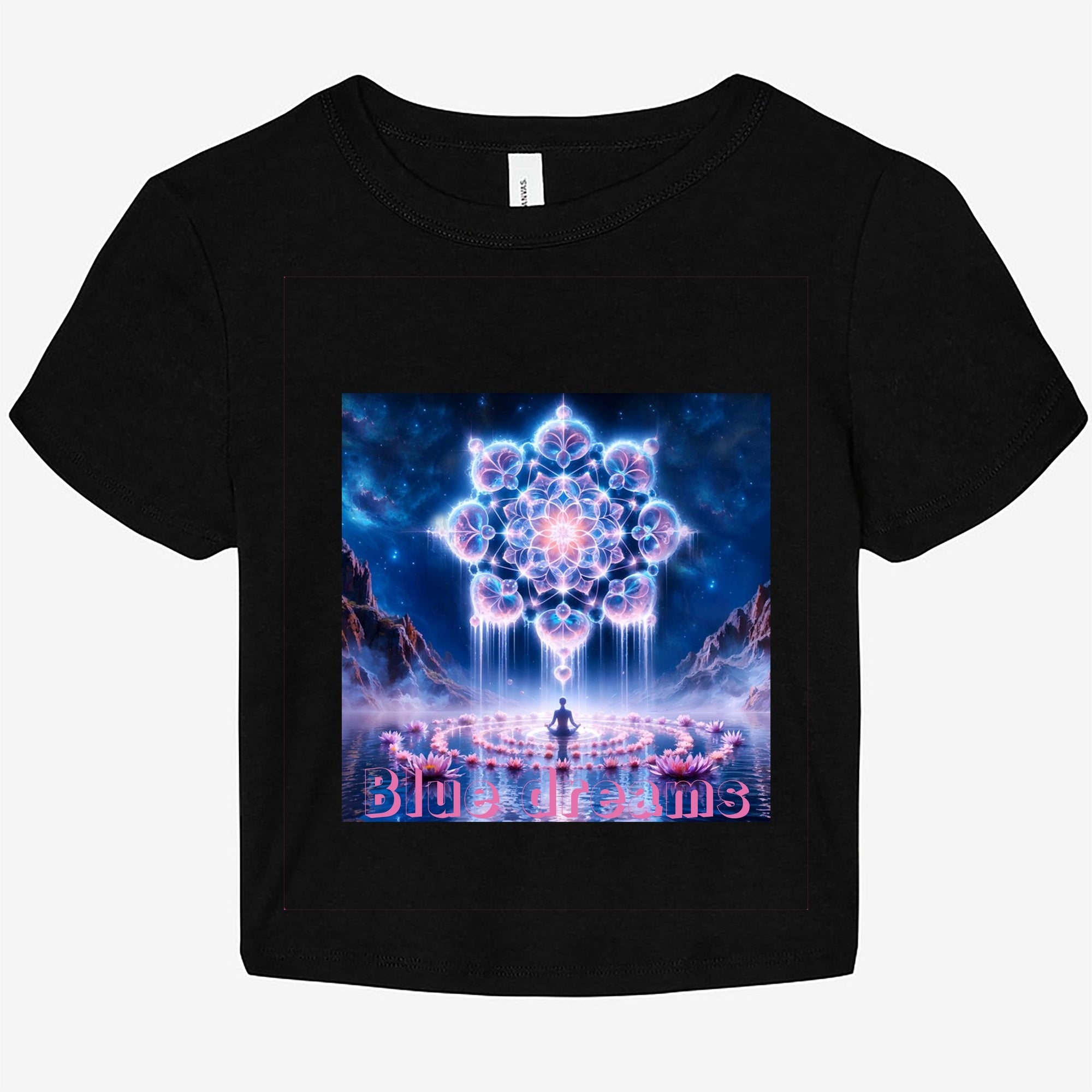 Bella Canvas Women's Micro Rib Baby Tee 1010