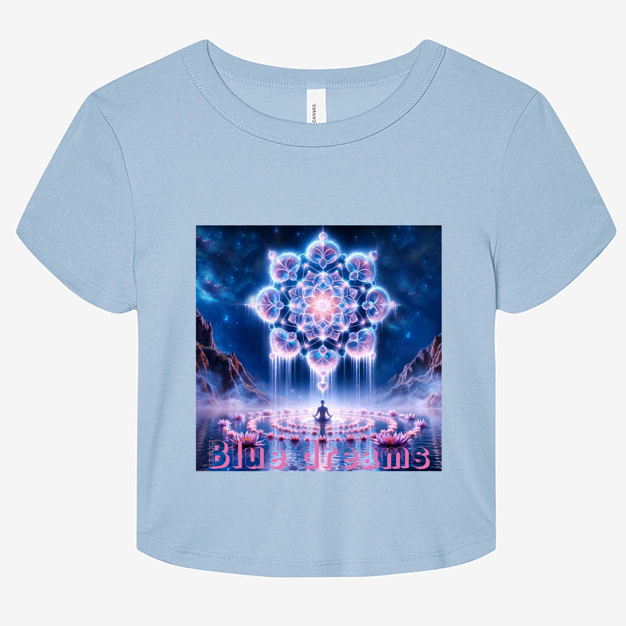 Bella Canvas Women's Micro Rib Baby Tee 1010