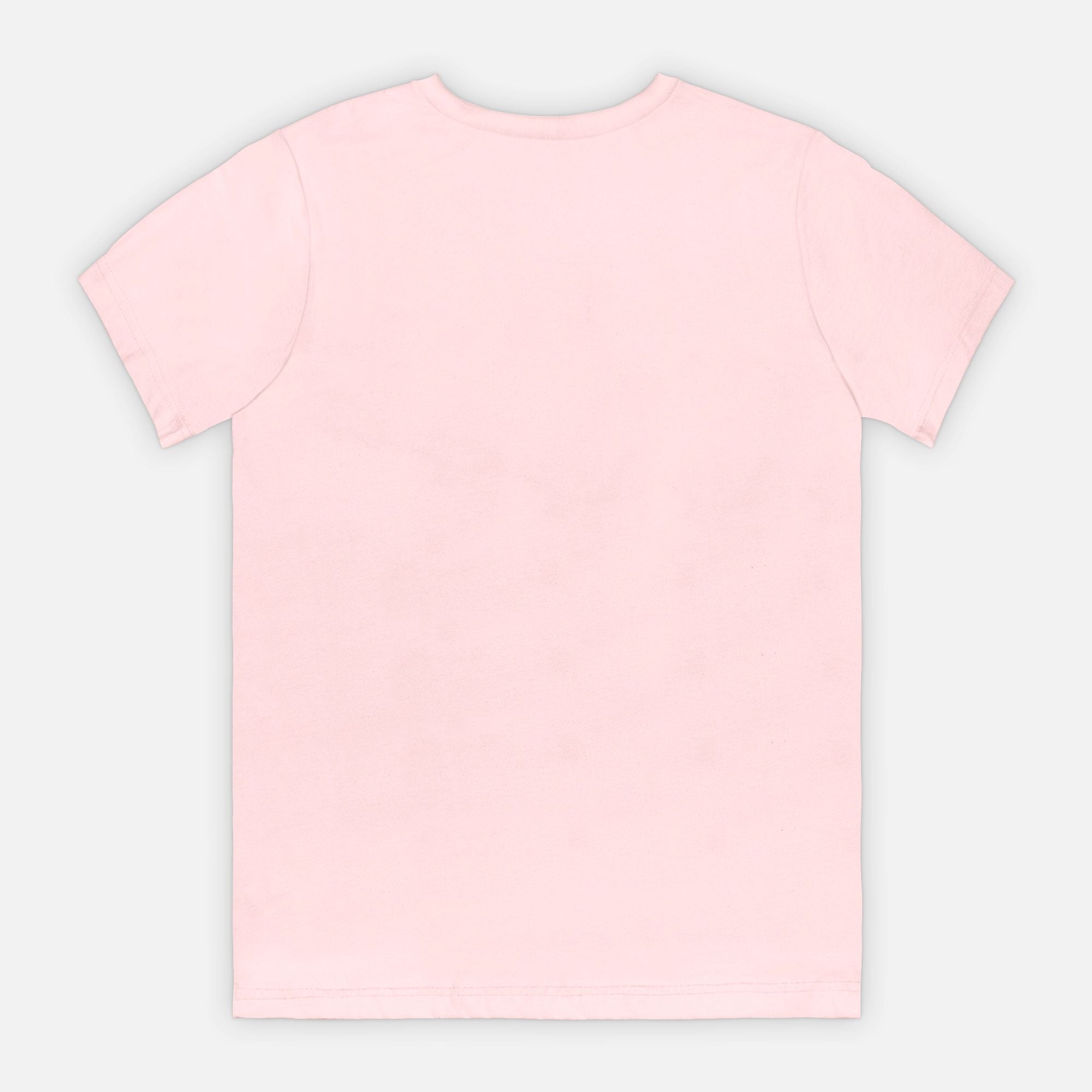 Bella Canvas Unisex Tee 3001