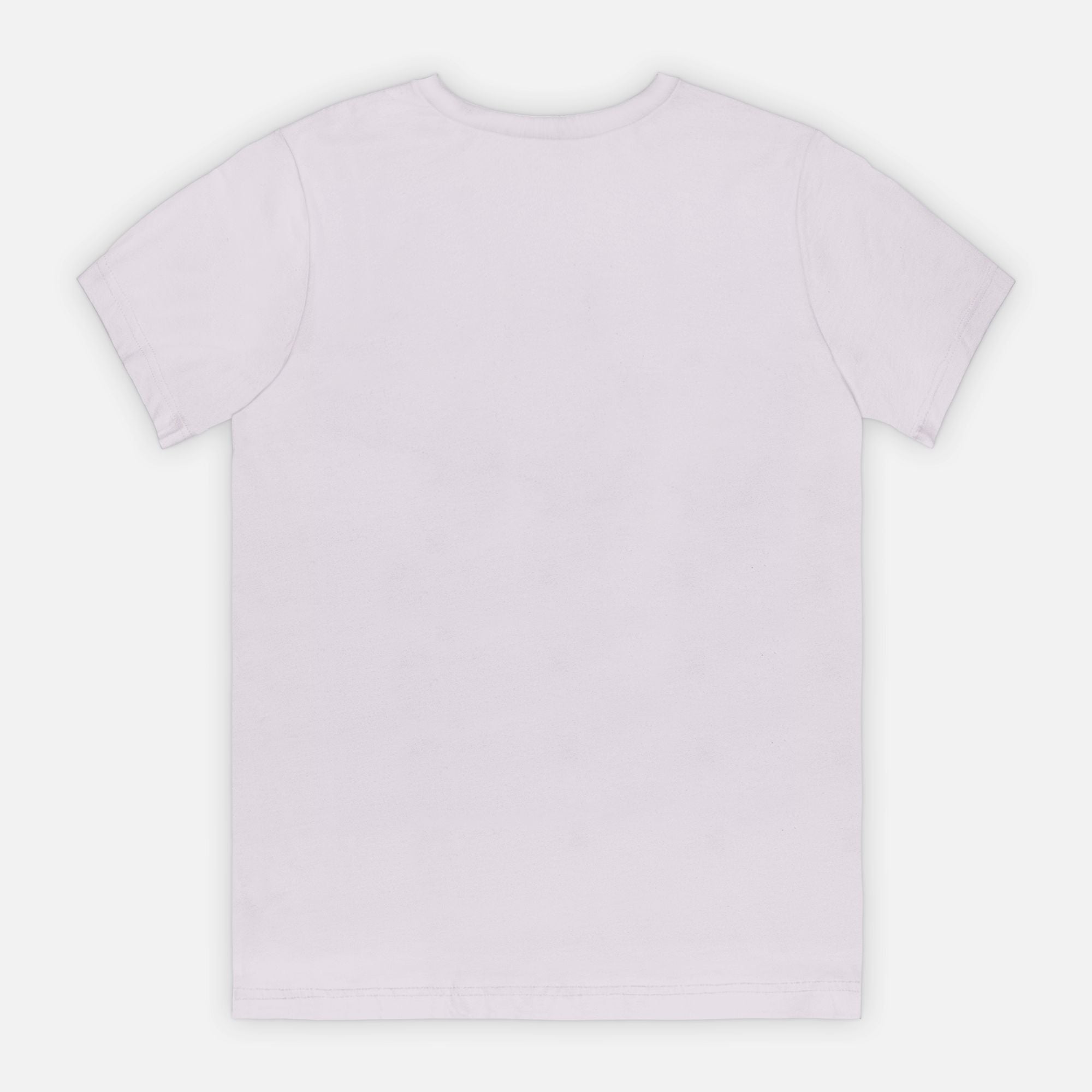 Bella Canvas Unisex Tee 3001